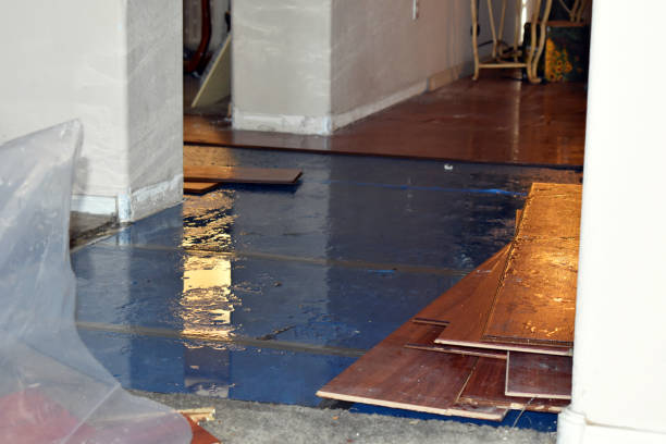 Professional Water Damage Repair technician working in Telephone, TX
